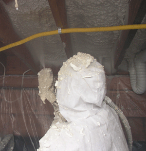 Willamette Valley OR crawl space insulation